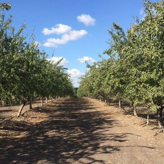 More details for 6000 Tim Bell Rd, Oakdale, CA - Land for Sale