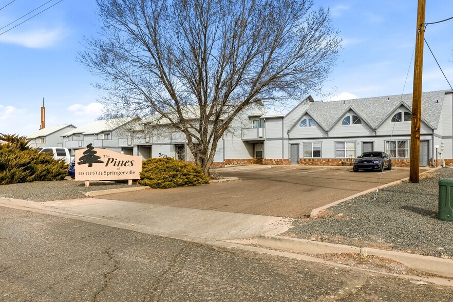 44 N Aldrice Burk Dr, Springerville, AZ à vendre - Photo du bâtiment - Image 2 de 5