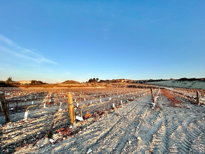 Land in Novelda, Alicante for sale - Aerial - Image 3 of 7