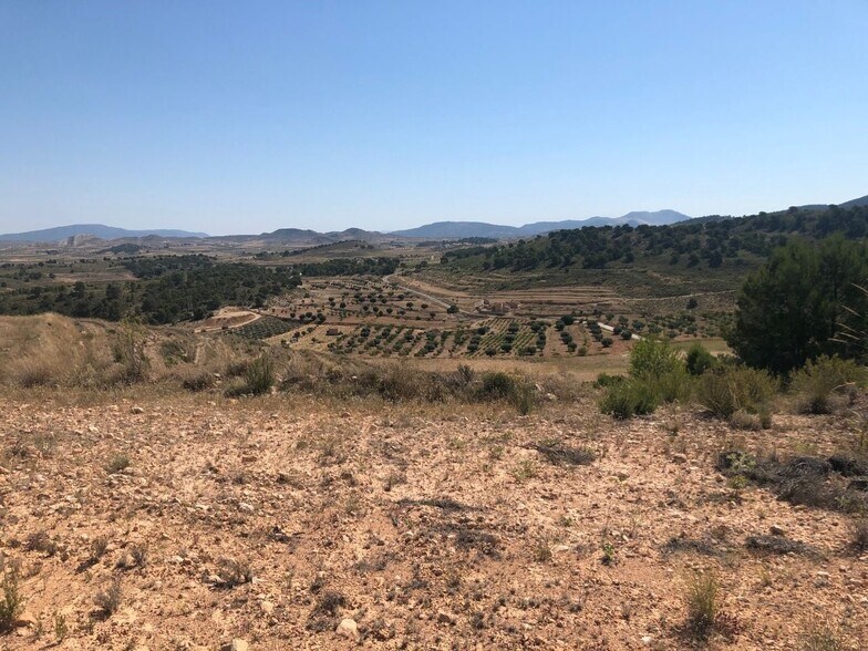Land in La Zarza, Badajoz for sale - Aerial - Image 2 of 8