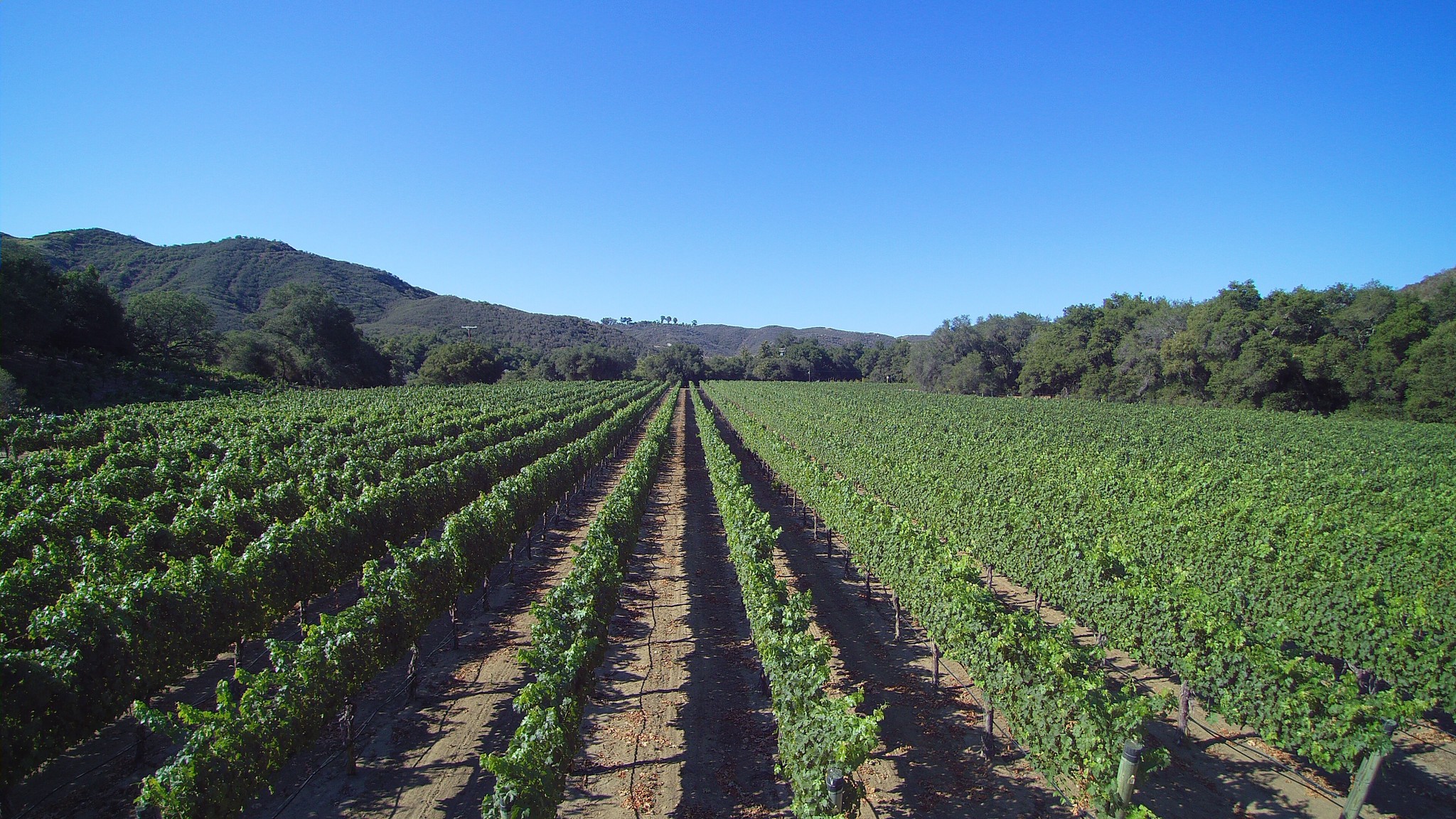 40550 De Luz Murrieta Rd, Fallbrook, CA for sale Building Photo- Image 1 of 1