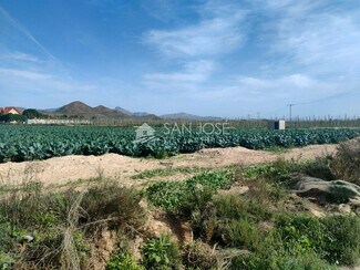 More details for Land for Sale