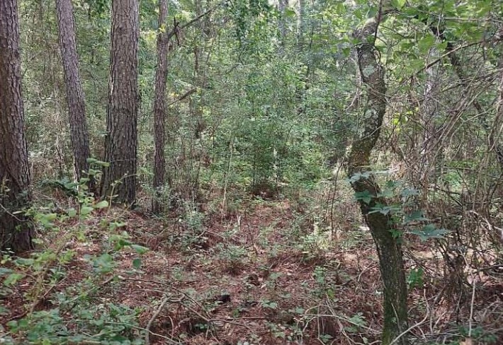 Barnesville Highway, The Rock, GA for sale - Building Photo - Image 1 of 8