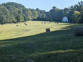 Plus de détails pour Conrad Rd, Lewisville, NC - Terrain à vendre