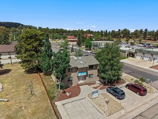 More details for 250 N Center St, Woodland Park, CO - Office for Sale