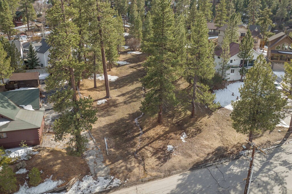 725 Cameron Dr, Big Bear Lake, CA for sale Primary Photo- Image 1 of 21