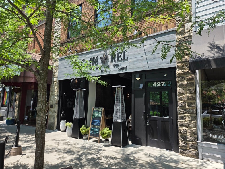 425 N Main St, Hendersonville, NC for sale - Building Photo - Image 3 of 17