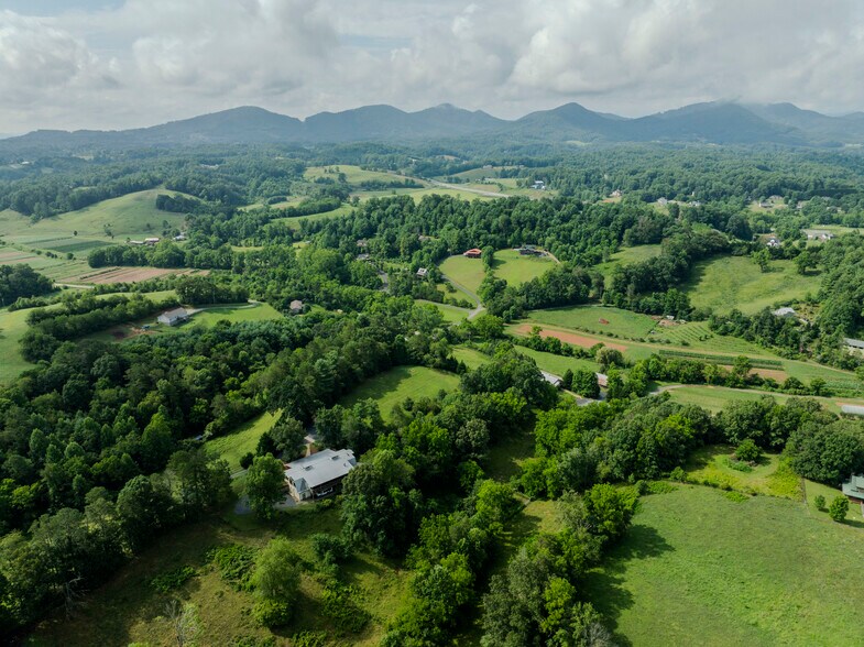 305 Sluder Branch Rd, Leicester, NC for sale - Building Photo - Image 2 of 101