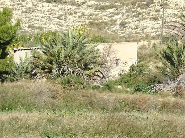 Terrain dans Aspe, Alicante à vendre - Photo principale - Image 1 de 5