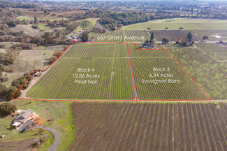 More details for 657 Grant ave, Healdsburg, CA - Land for Sale