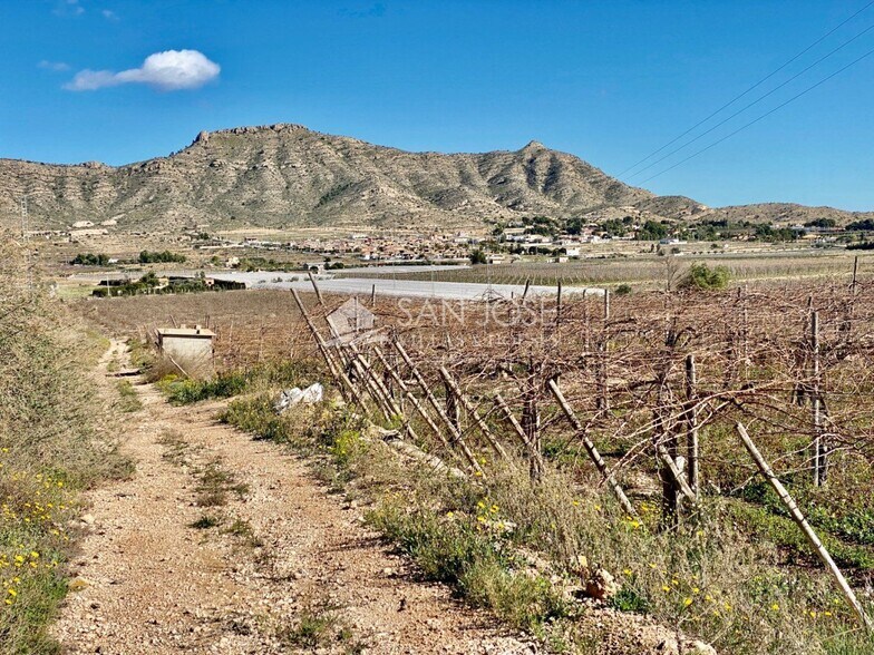 Terrain dans Aspe, Alicante à vendre - Aérien - Image 2 de 8