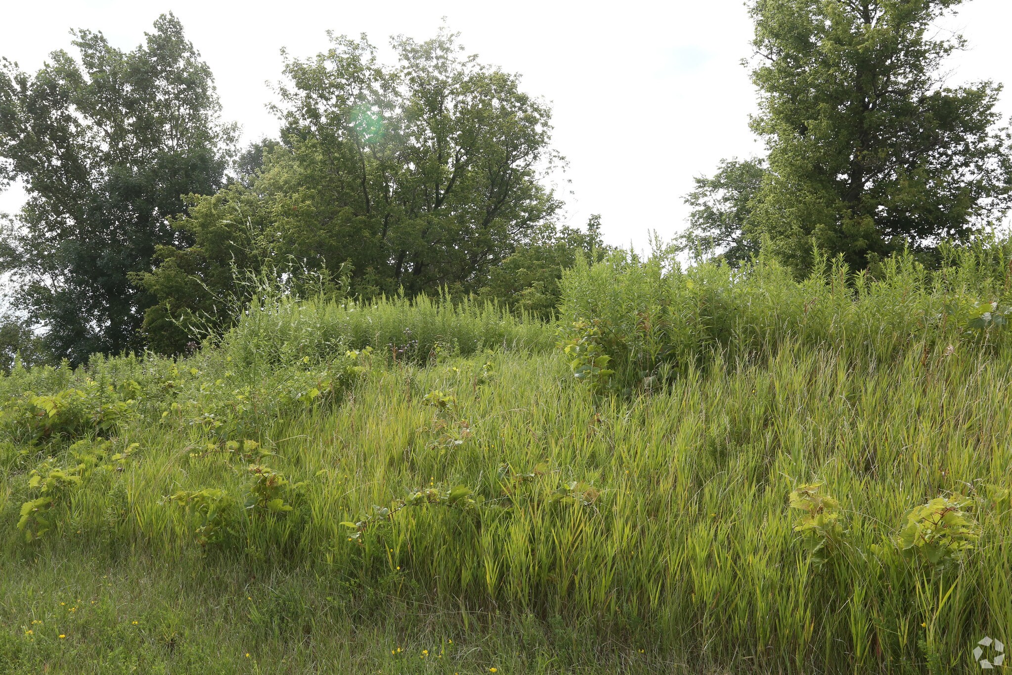 167th St W, Lakeville, MN for sale Building Photo- Image 1 of 4