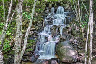 Plus de détails pour Mountain Cove Estates Rd, Cherry Log, GA - Terrain à vendre