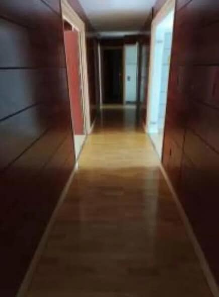 Bureau dans Lyon à louer - Photo intérieure - Image 2 de 6