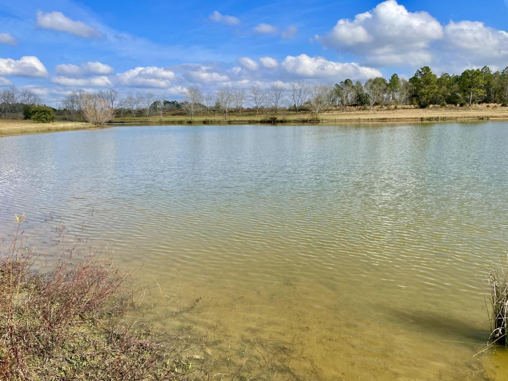 0 County Road 64, Daphne, AL à vendre Photo du bâtiment- Image 1 de 34