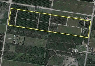 More details for 0 Texan Rd, Mission, TX - Land for Sale
