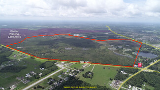 Plus de détails pour 19858 State Road 52, Land O Lakes, FL - Terrain à vendre