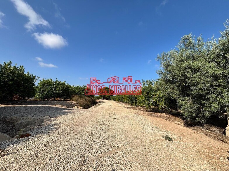Land in Elche, Alicante for sale - Building Photo - Image 3 of 4