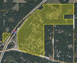 Plus de détails pour 146 Acres I-75 Interchange Land, Bushnell, FL - Terrain à vendre