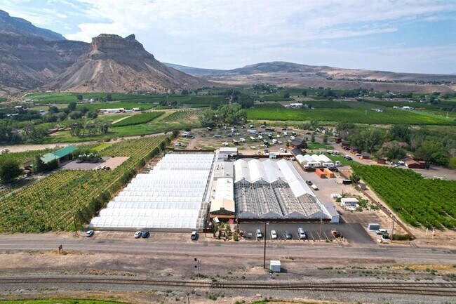 More details for 1041 N River Rd, Palisade, CO - Retail for Sale