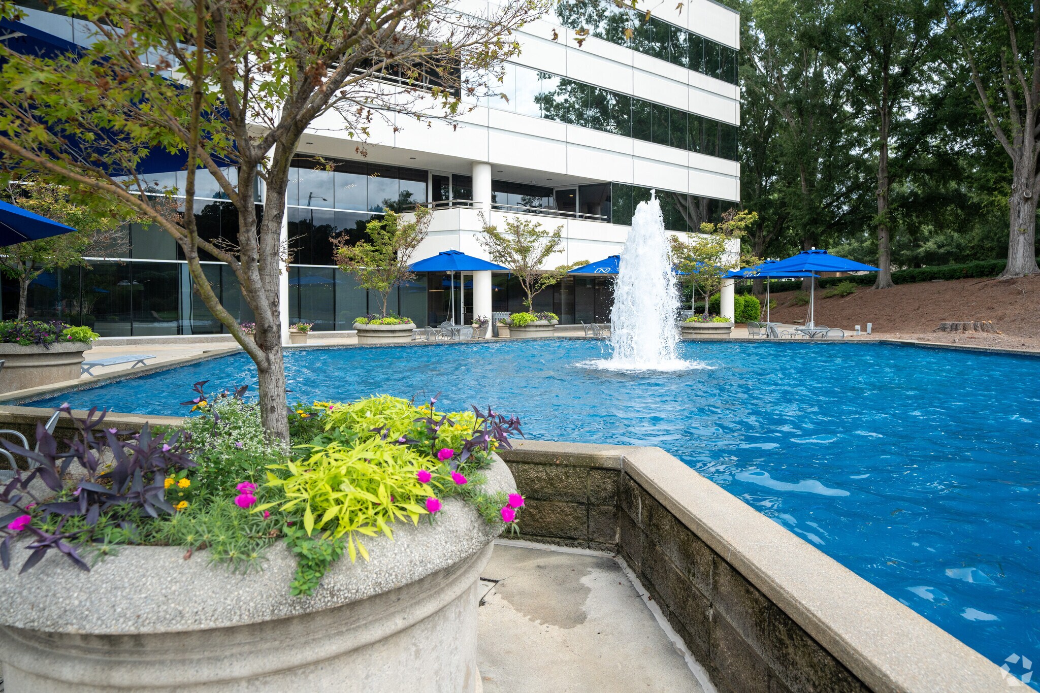 6601 Six Forks Rd, Raleigh, NC à louer Photo du bâtiment- Image 1 de 33