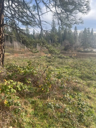 Plus de détails pour Adams Lane Street, Grass Valley, CA - Terrain à vendre