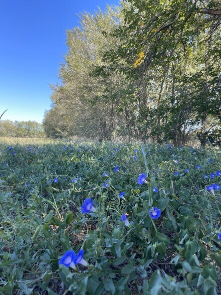 Polvadera Rd, Polvadera, NM à vendre - Autre - Image 3 de 8