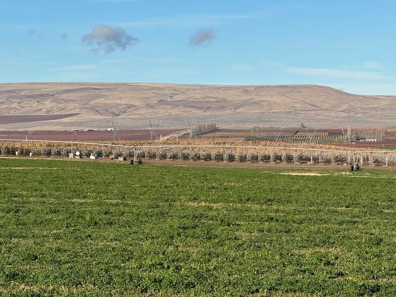 Intersection of Road O SW and Road 26 SW, Mattawa, WA for sale - Other - Image 1 of 8