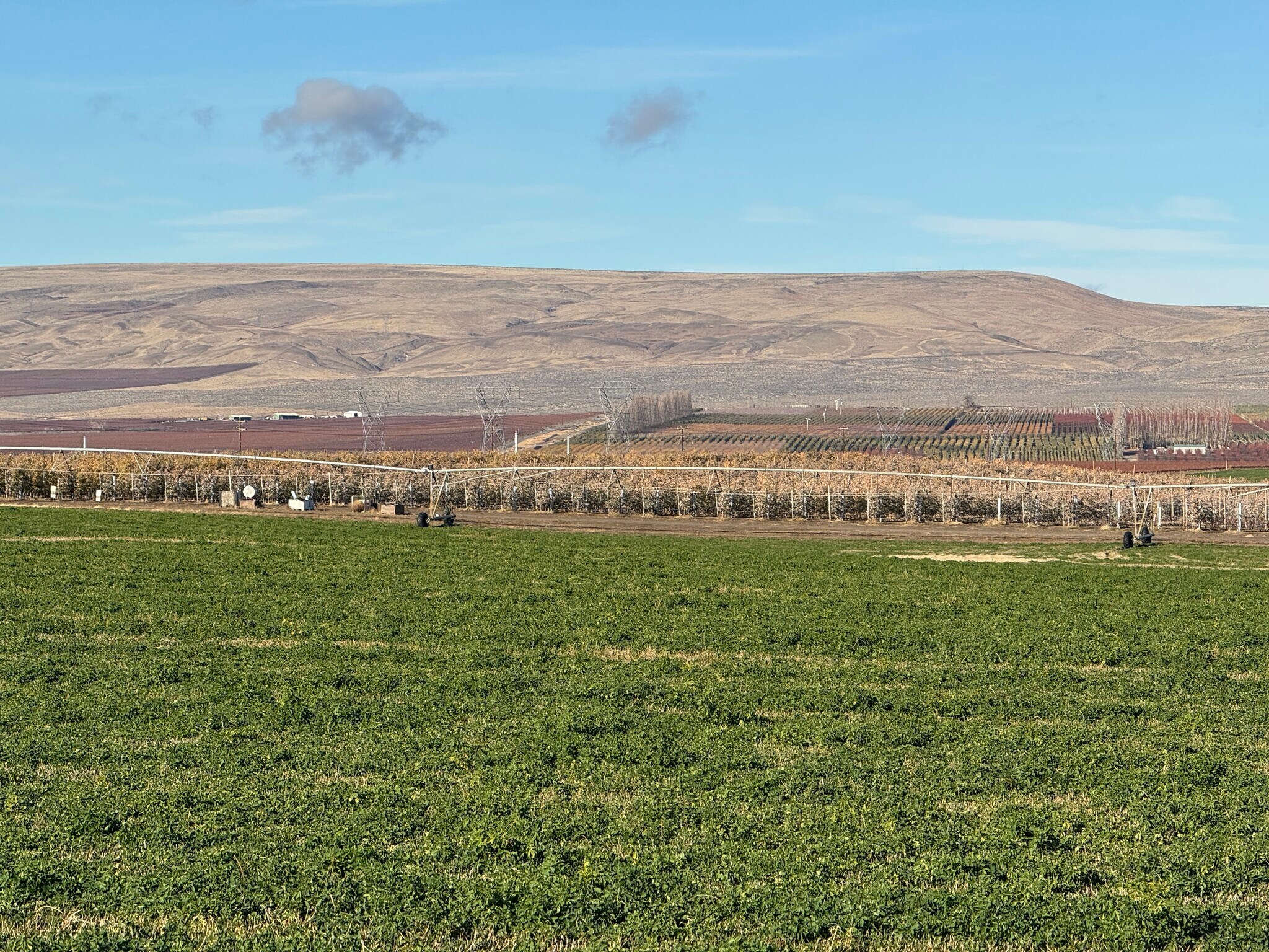 Intersection of Road O SW and Road 26 SW, Mattawa, WA à vendre Autre- Image 1 de 9