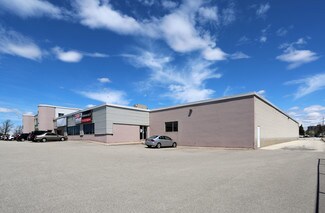 Plus de détails pour 150 Norfinch Dr, Toronto, ON - Bureau, Industriel à louer