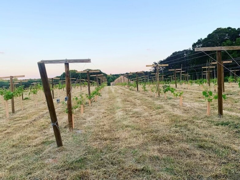 77 Little River Rd, Carrollton, GA à vendre - Photo du bâtiment - Image 3 de 12