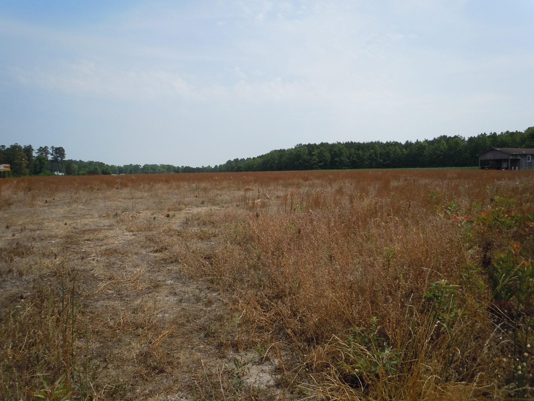 2636 US Hwy 701, Loris, SC for sale Primary Photo- Image 1 of 11