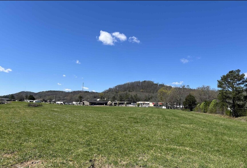 0 2nd Ave, Oneonta, AL for sale - Other - Image 2 of 4