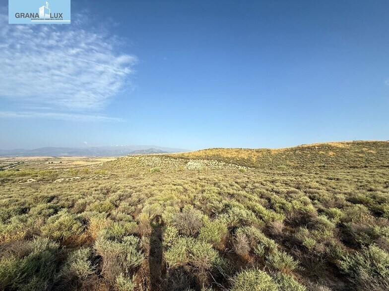 Avenida de Grecia, 17, Alhendín, Granada for sale - Building Photo - Image 2 of 17