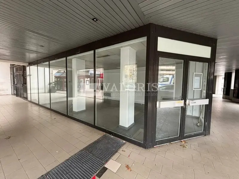 74 Rue De Bonnel, Lyon à louer Hall d’entrée- Image 1 de 4