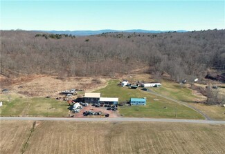 Plus de détails pour 79-83 Elk Point Rd, Livingston Manor, NY - Spécialité à vendre