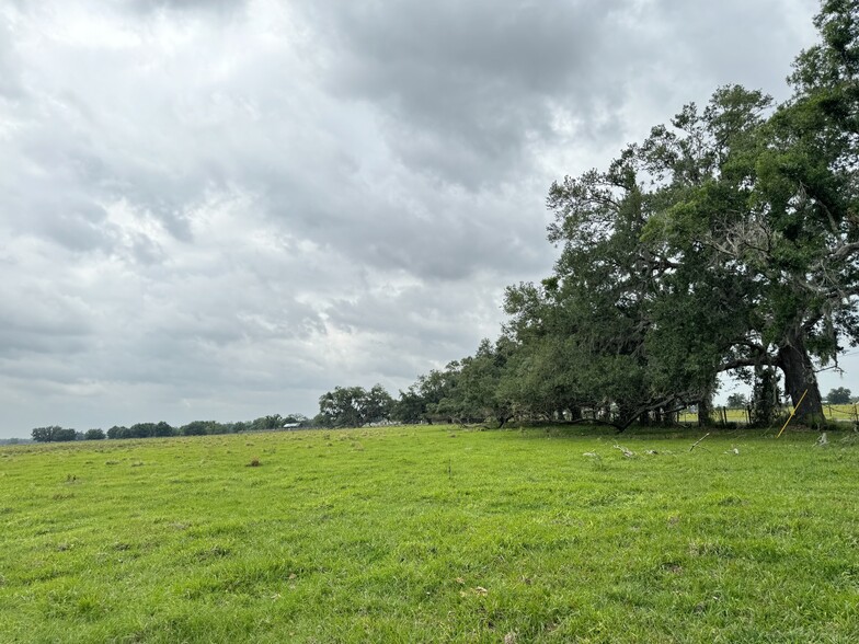 Southeast Highway 70, Arcadia, FL à vendre - Photo principale - Image 1 de 25