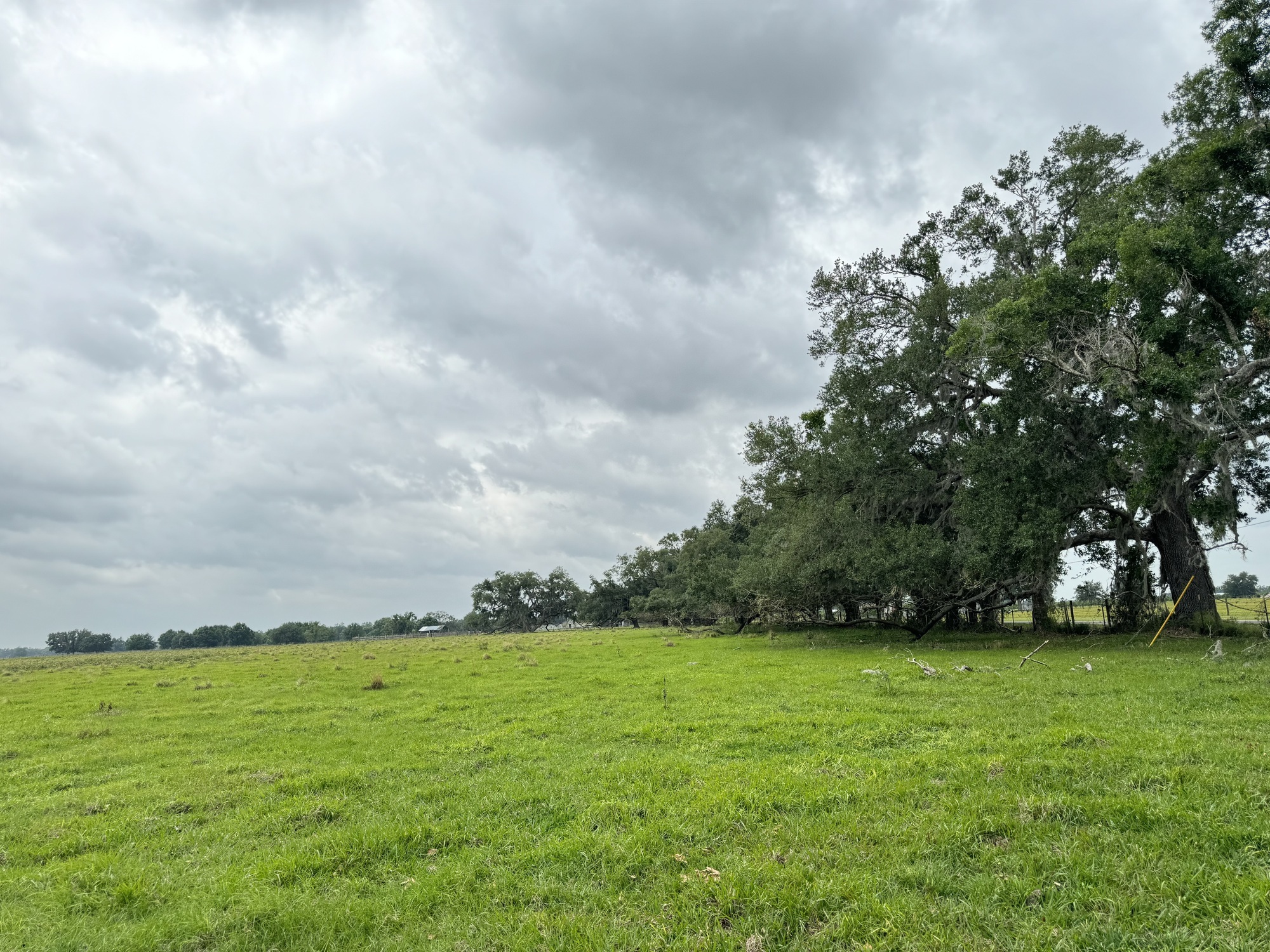 Southeast Highway 70, Arcadia, FL à vendre Photo principale- Image 1 de 26