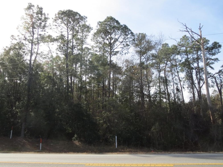 State Hwy 20, Freeport, FL for sale - Primary Photo - Image 1 of 1