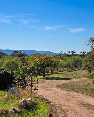 Plus de détails pour 925 Old Spanish Trl, Buchanan Dam, TX - Terrain à vendre