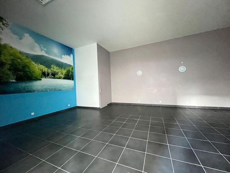 27 Rue D'Inkermann, Villeurbanne à louer - Photo intérieure - Image 3 de 4