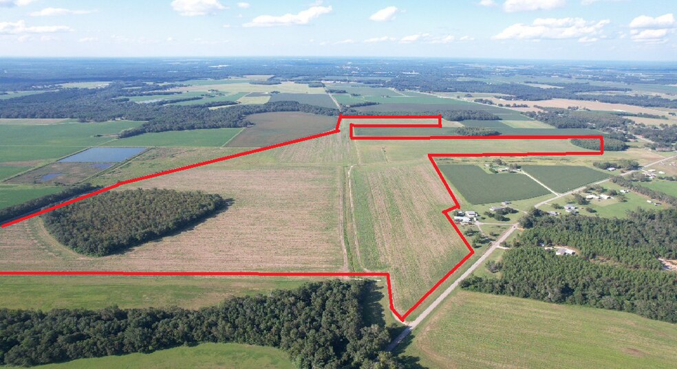 5700 Pine Forest Rd, Walnut Hill, FL à vendre - Photo du bâtiment - Image 3 de 43