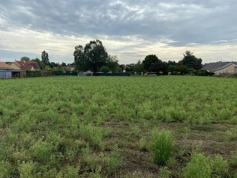 Land in LA CHAPELLE-D'ALIGNE for sale Site Plan- Image 1 of 4