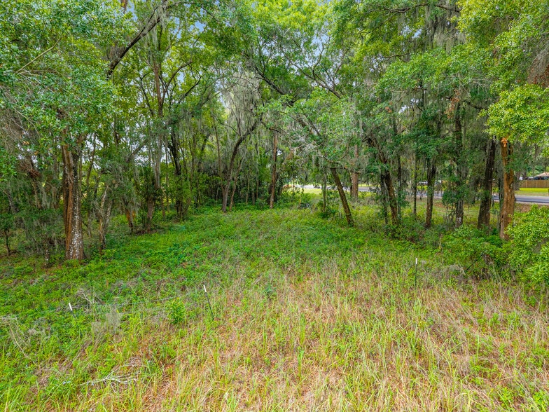 TBD S. Highway 301, Summerfield, FL for sale - Building Photo - Image 2 of 5