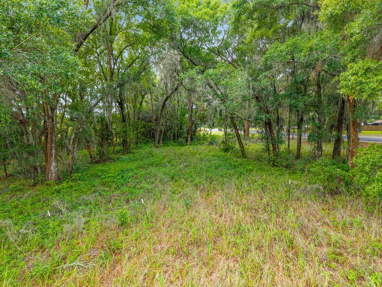 TBD S. Highway 301, Summerfield, FL à vendre - Photo du bâtiment - Image 2 de 5