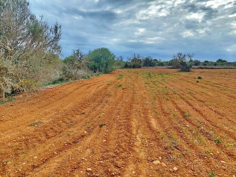 Land in Campos, Islas Baleares for sale - Primary Photo - Image 1 of 6