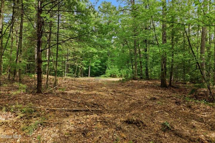 L 20.3 New York 50, Saratoga Springs, NY for sale - Building Photo - Image 2 of 6