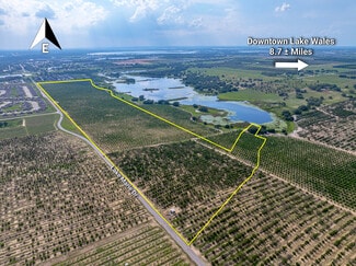 Plus de détails pour Lake Marie Dr, Dundee, FL - Terrain à vendre