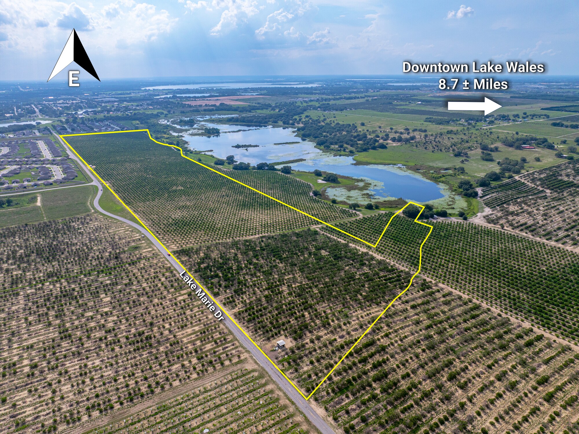 Lake Marie Dr, Dundee, FL à vendre Aérien- Image 1 de 32