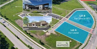 Plus de détails pour 6715 Firehouse Drive, Windsor, WI - Terrain à vendre